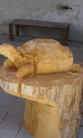 Holzskulptur Schildkröte